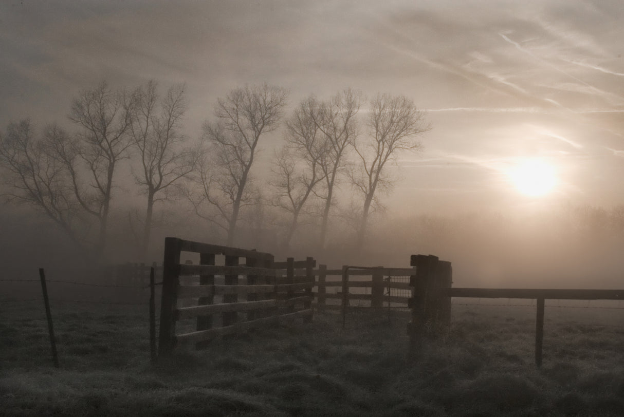 Hazy morning symphony Poster och Canvastavla