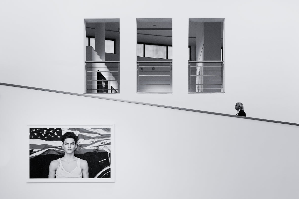 Danubiana Meulensteen Art Museum Poster och Canvastavla