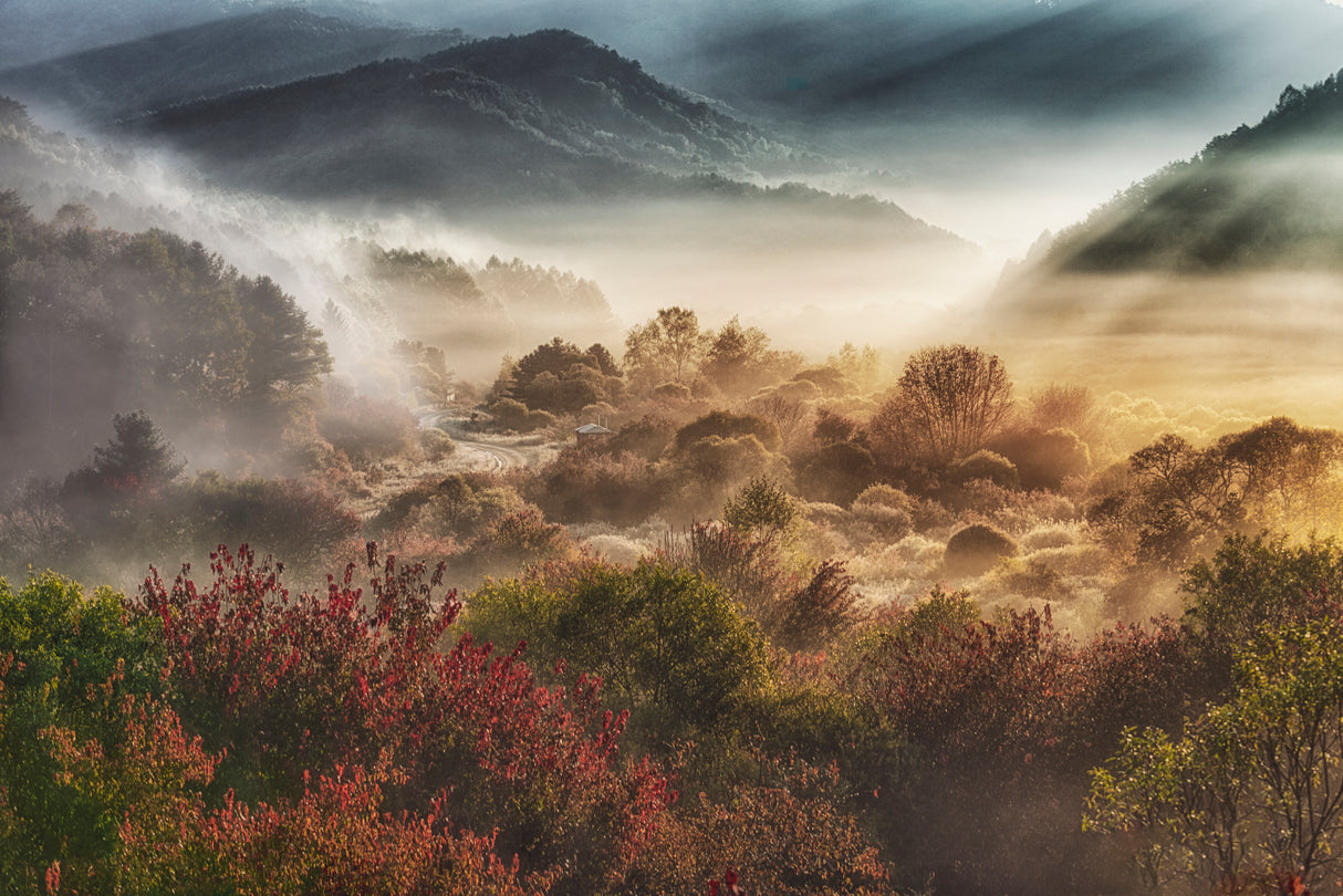 mysticall autumn morning (secret garden) Poster och Canvastavla