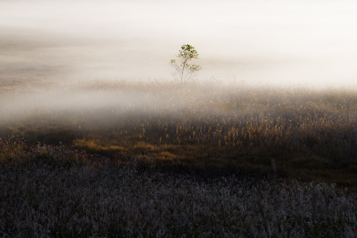 特別な時間/special time Poster och Canvastavla