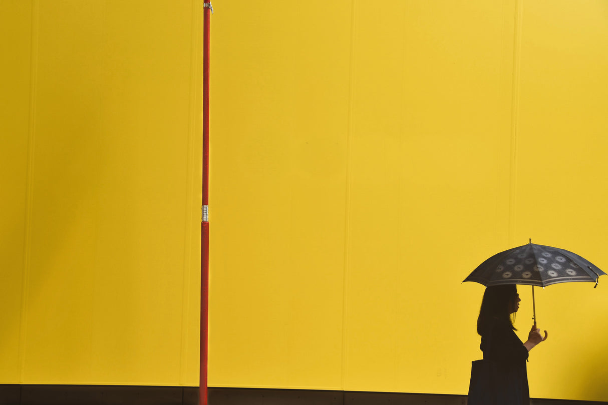 Yellow, black, red Poster och Canvastavla
