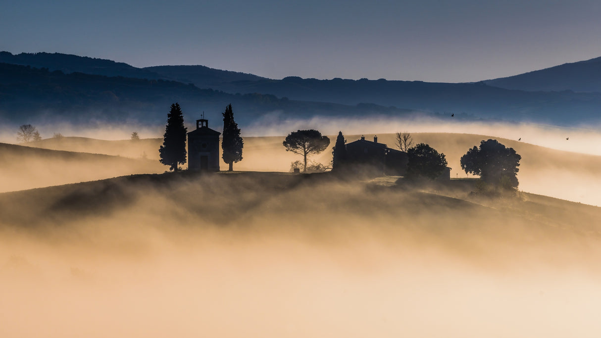 Foggy dawn in Val d'Orcia Poster och Canvastavla