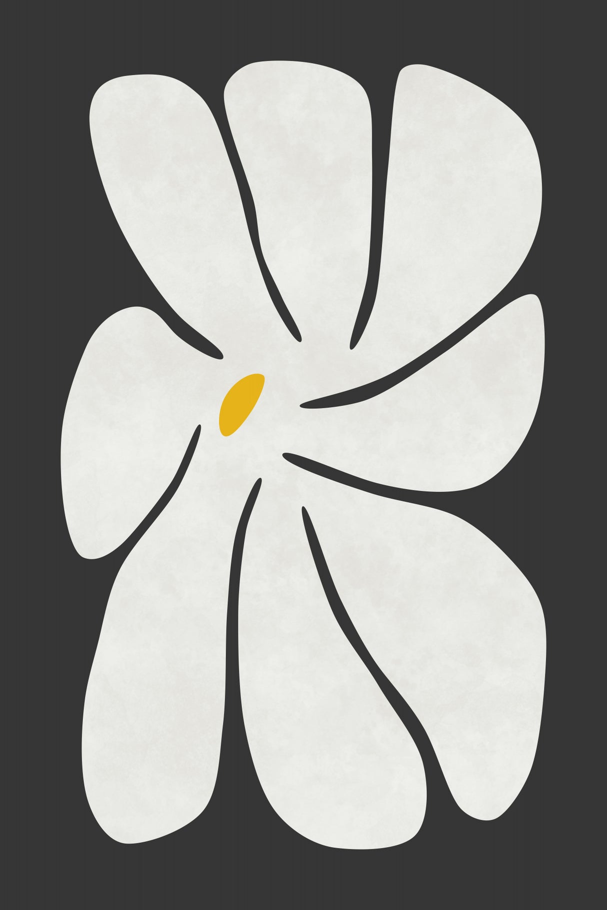 White Daisy Poster och Canvastavla
