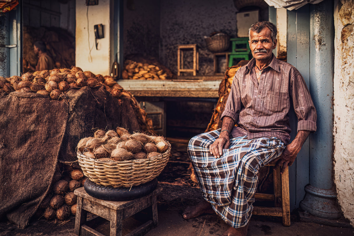 Indian coconuts bazar Poster och Canvastavla