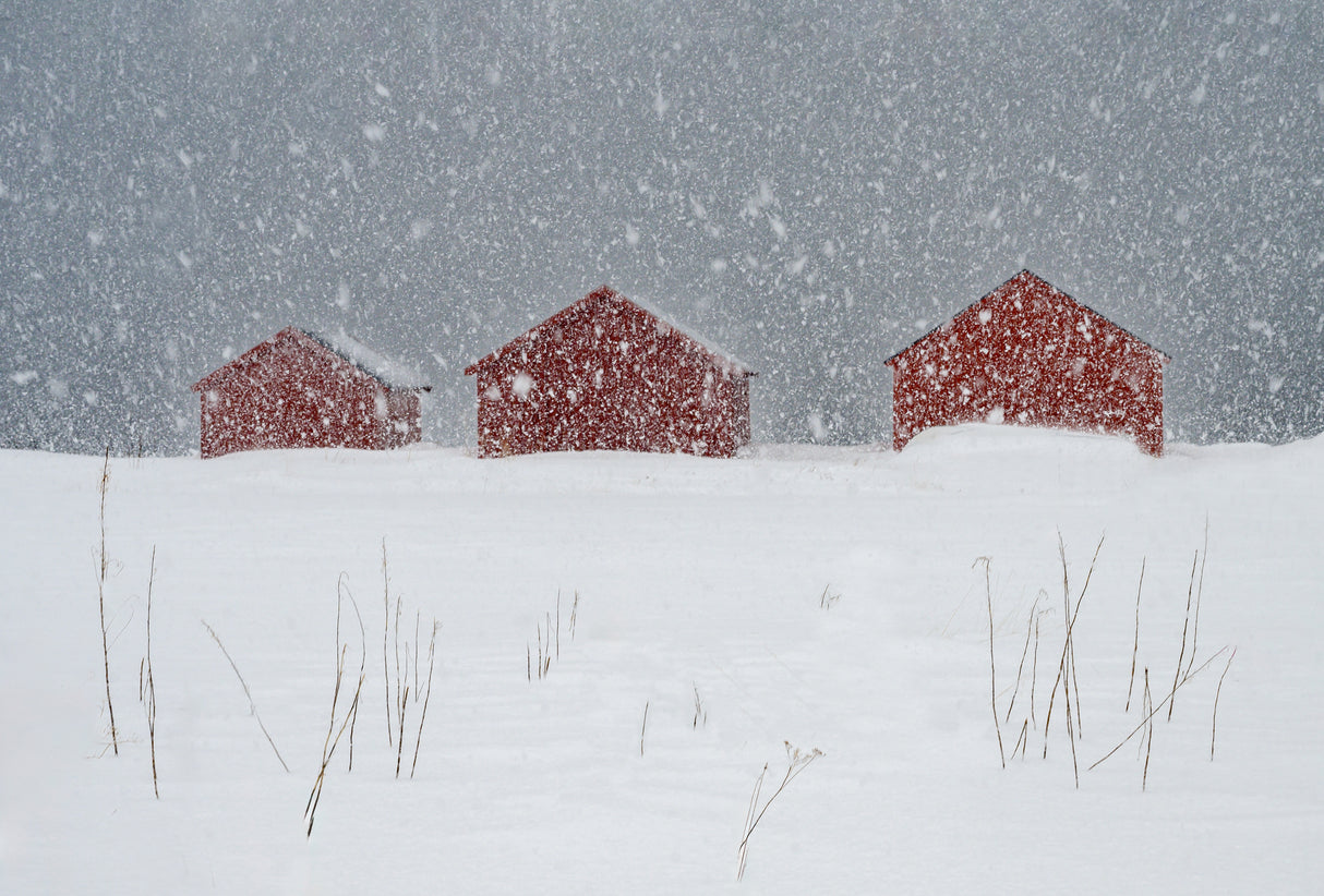 Red boat houses in the snow Poster och Canvastavla