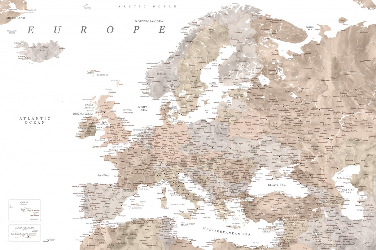 Taupe detailed map of Europe Poster och Canvastavla