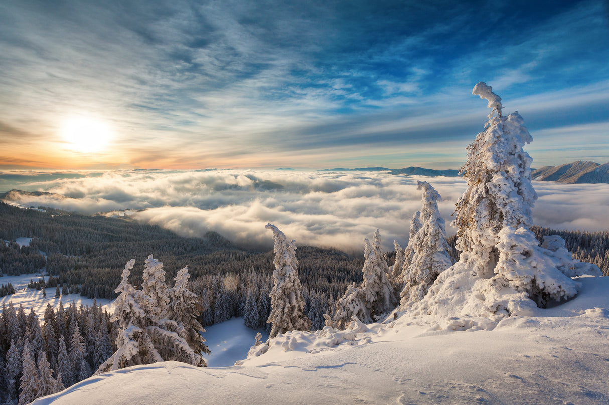 WinterTime Poster och Canvastavla