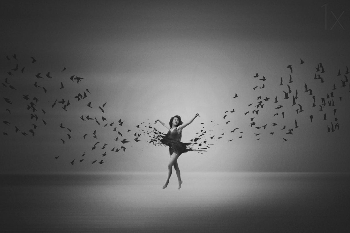 Ballerina flight of Birds Poster och Canvastavla
