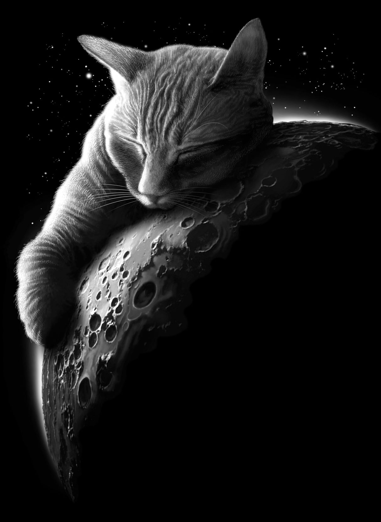 mooncat Poster och Canvastavla