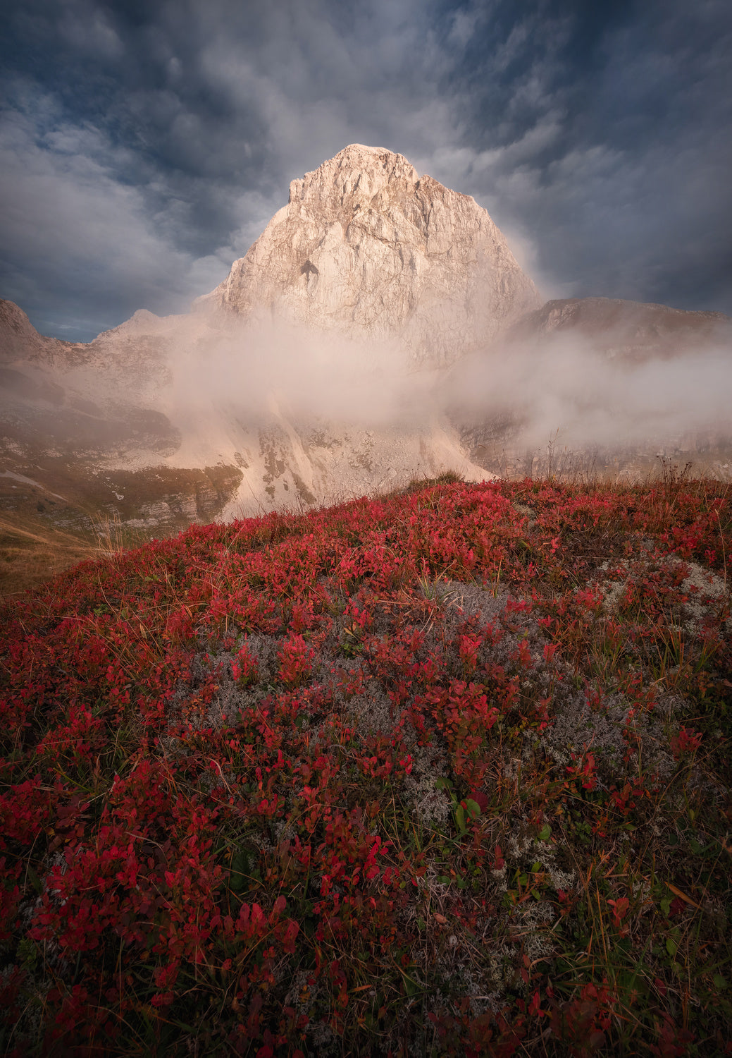 Autumn in the mountains Poster och Canvastavla