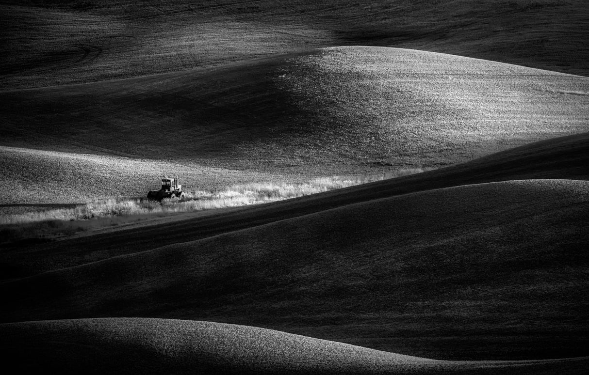 Palouse Sunrise Poster och Canvastavla
