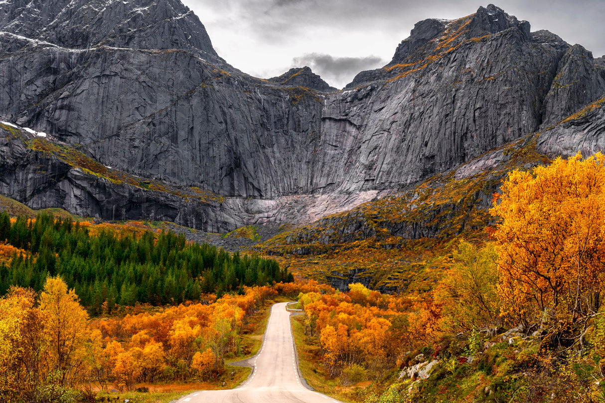 Road to the Wall Poster och Canvastavla