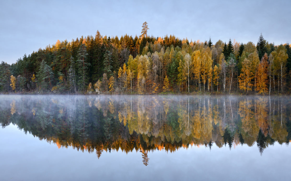 Autumn reflections Poster och Canvastavla