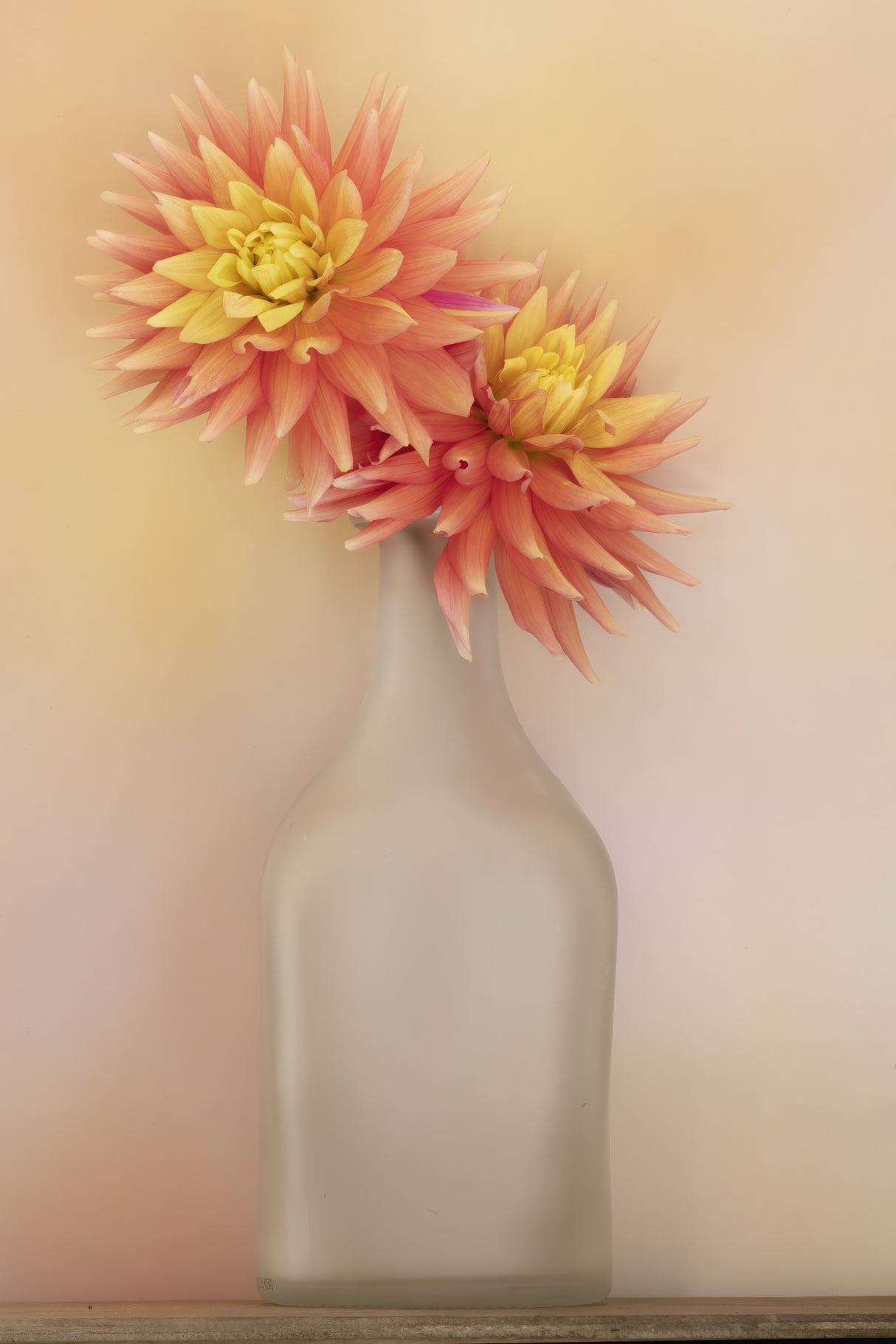 The Dahlia and Vase Poster och Canvastavla