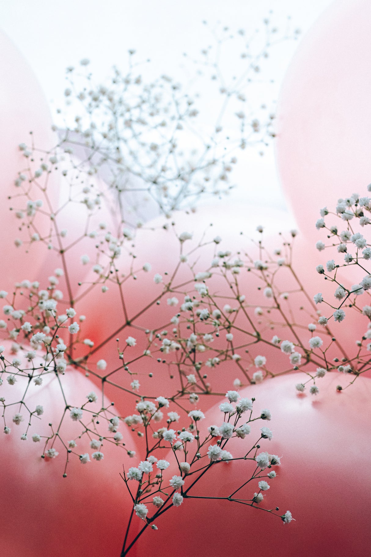 Blooms and Balloons - All of me Poster och Canvastavla