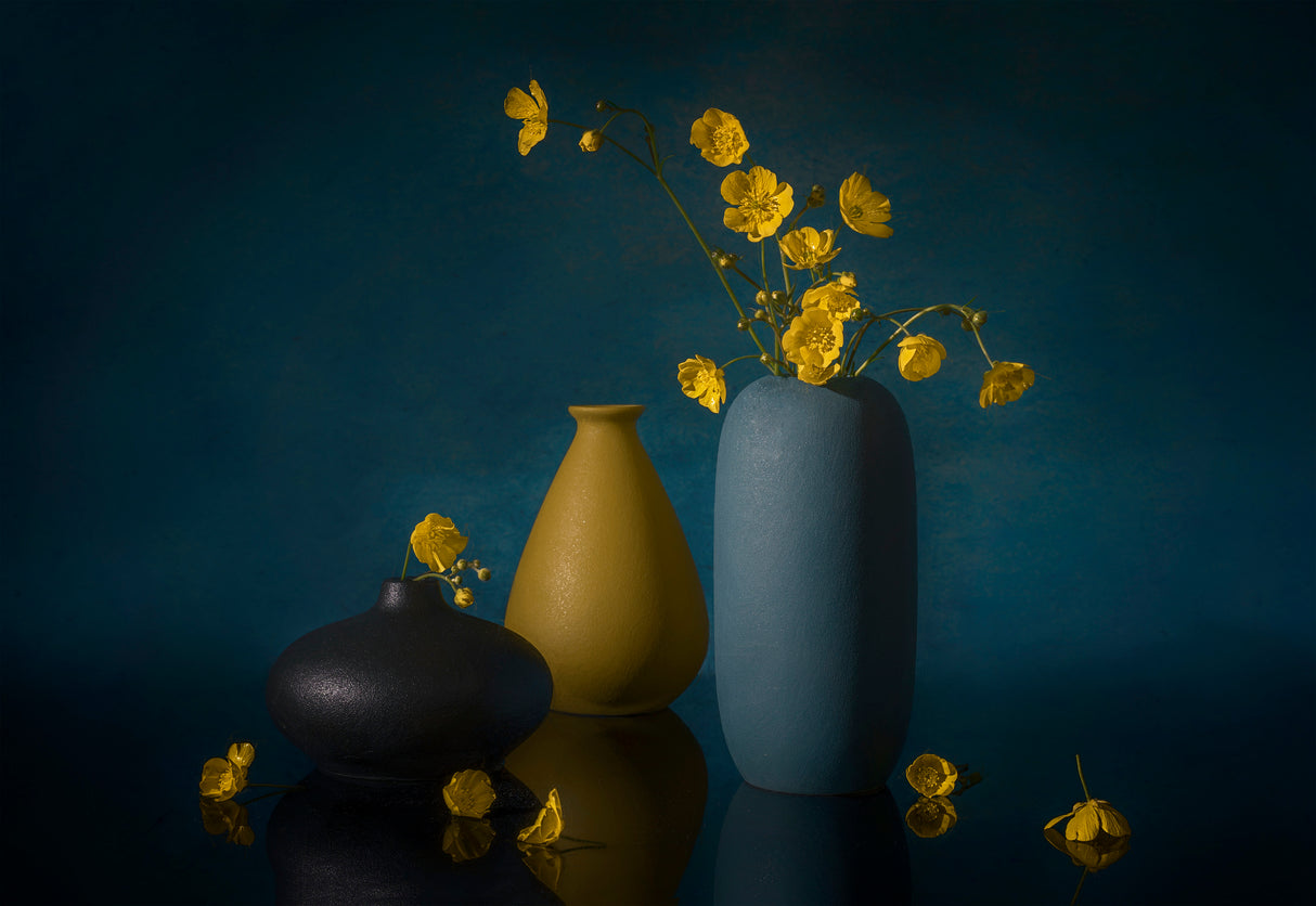 Buttercup Flower Poster och Canvastavla