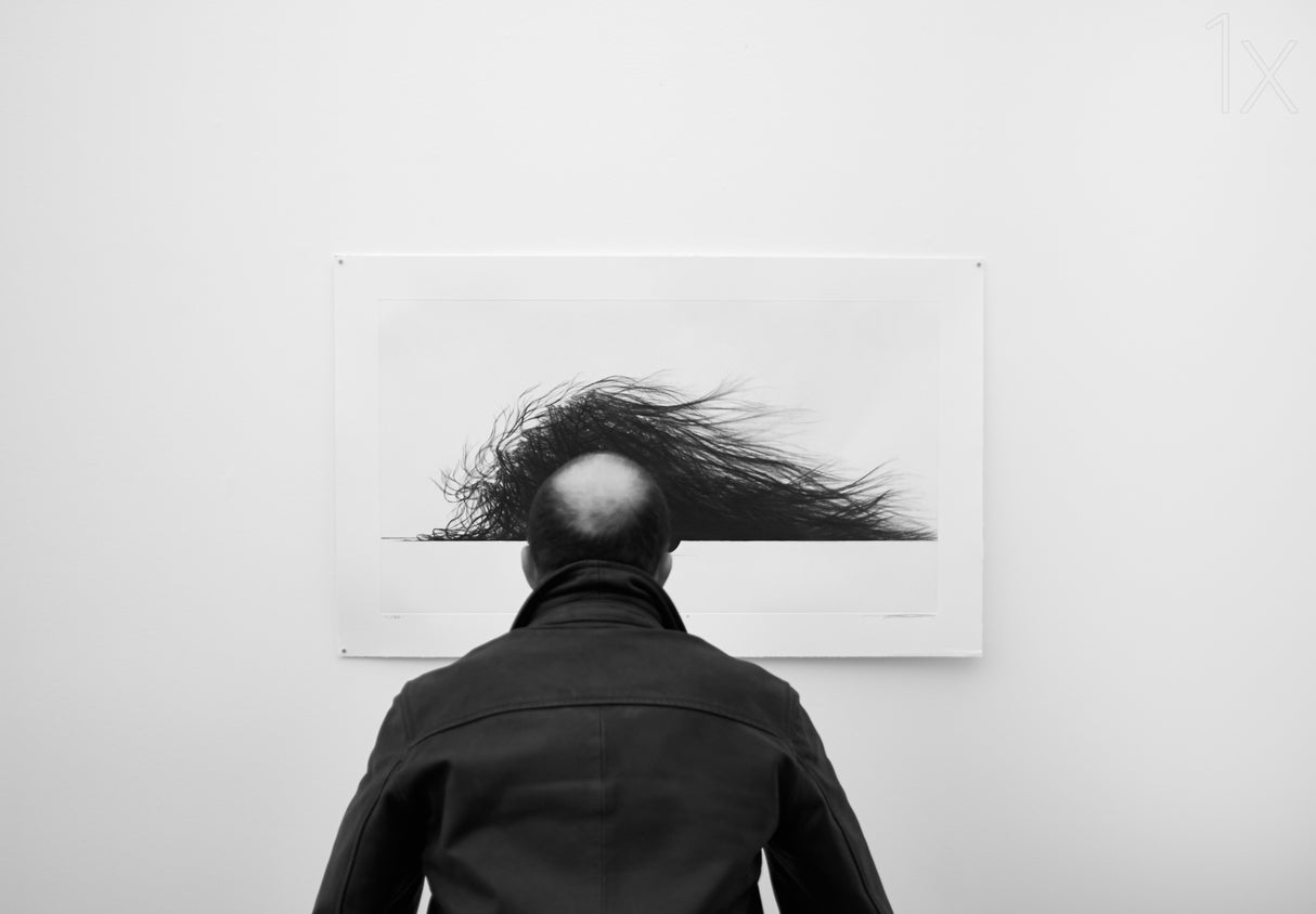 Wig Poster och Canvastavla