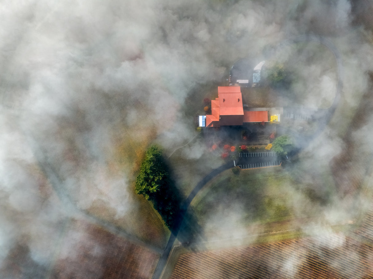 Foggy winery Poster och Canvastavla