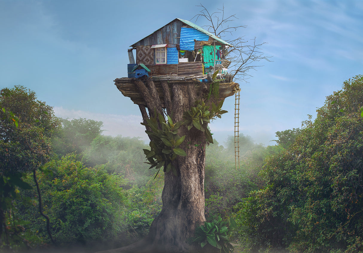 House in the Sky Poster och Canvastavla