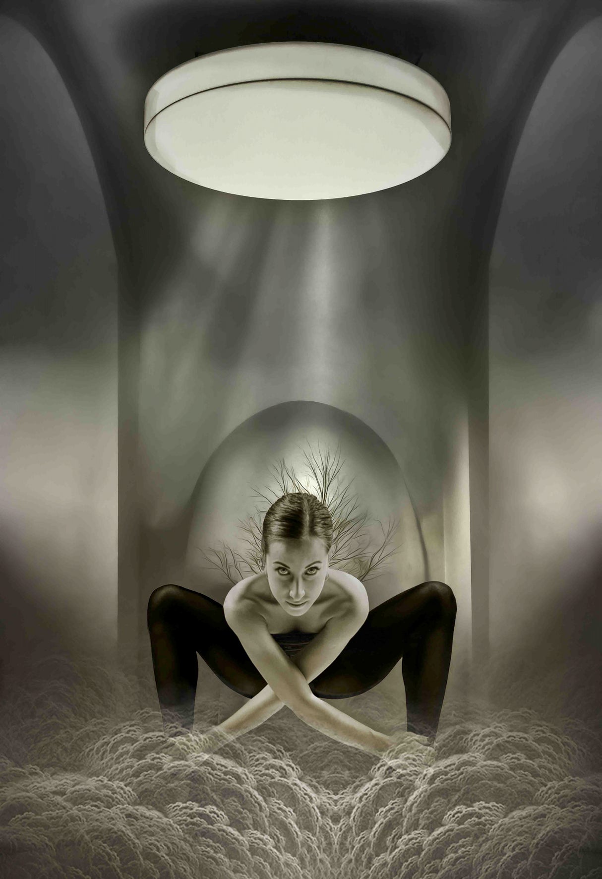 The Ballerina Poster och Canvastavla