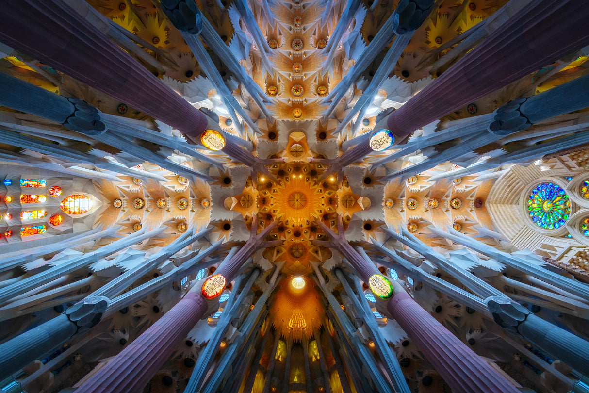 Sagrada Poster och Canvastavla