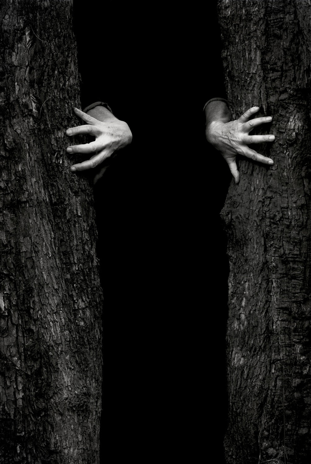 Shadow of a Thousand Years Poster och Canvastavla