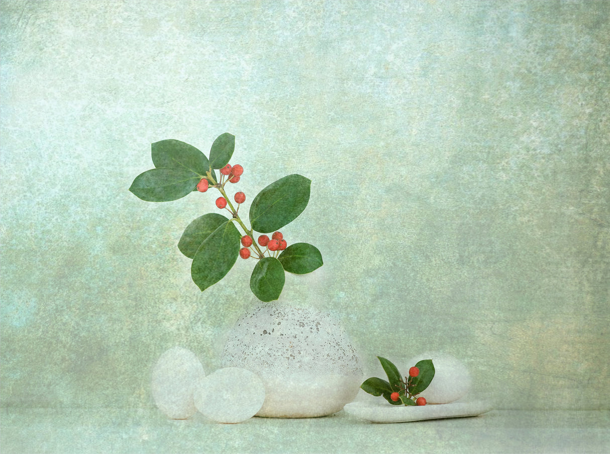 Holly Berries Poster och Canvastavla