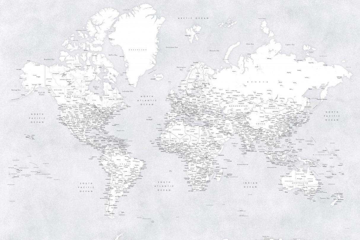Detailed world map with cities, Siv Poster och Canvastavla
