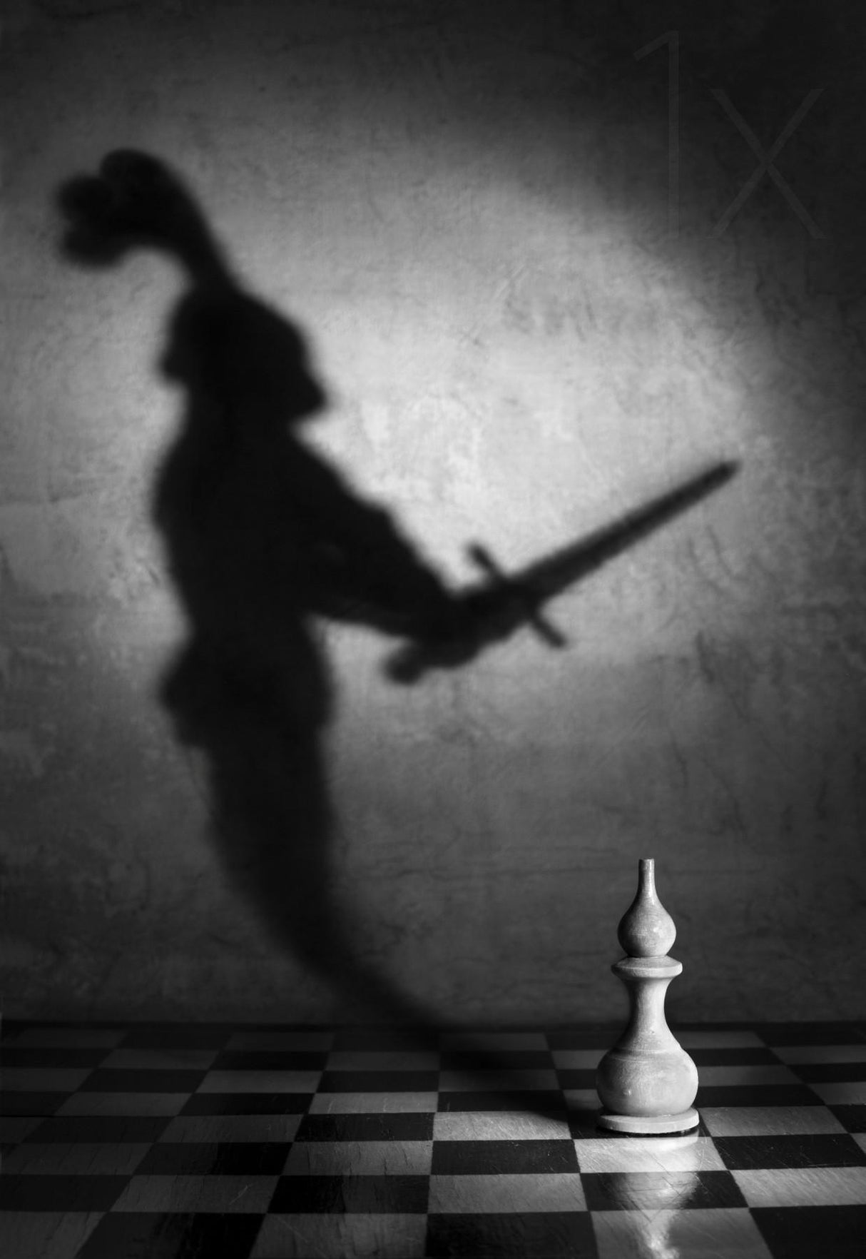 The heart of a knight Poster och Canvastavla