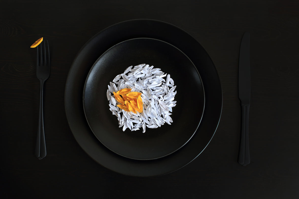 A fried egg for the origami master Poster och Canvastavla