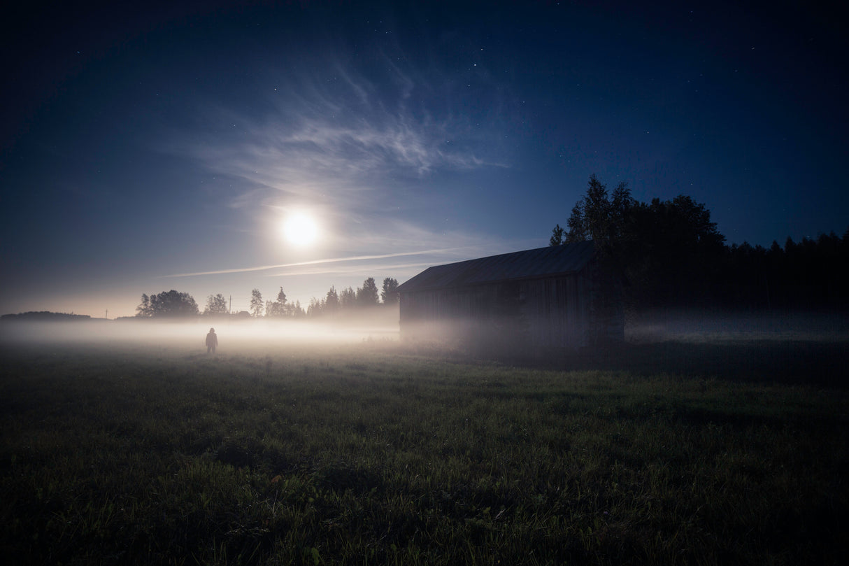 Night (moon) will forgive us. Poster och Canvastavla