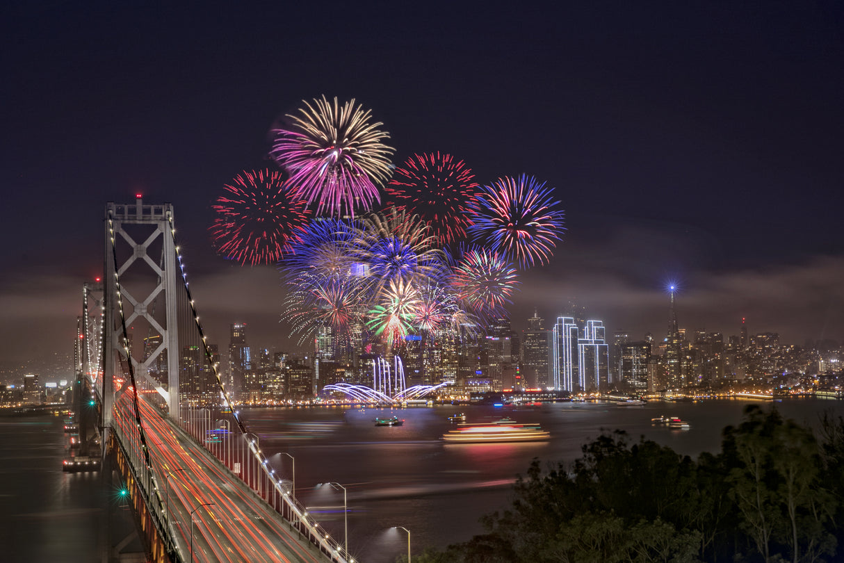 New Year Fireworks Poster och Canvastavla