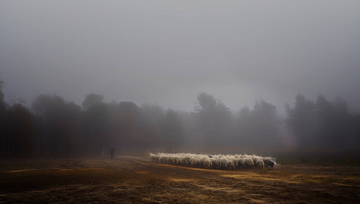 Foggy memory of the past Poster och Canvastavla