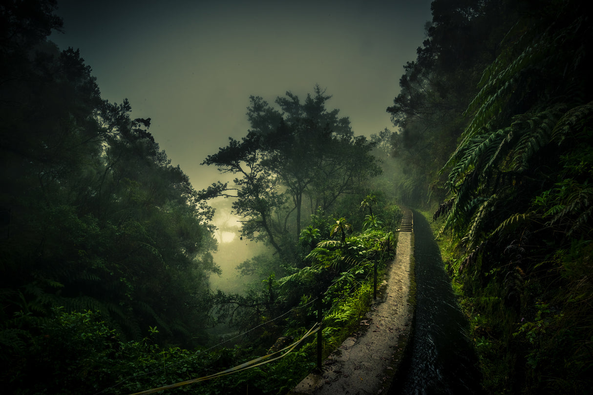 Levada Walk Poster och Canvastavla