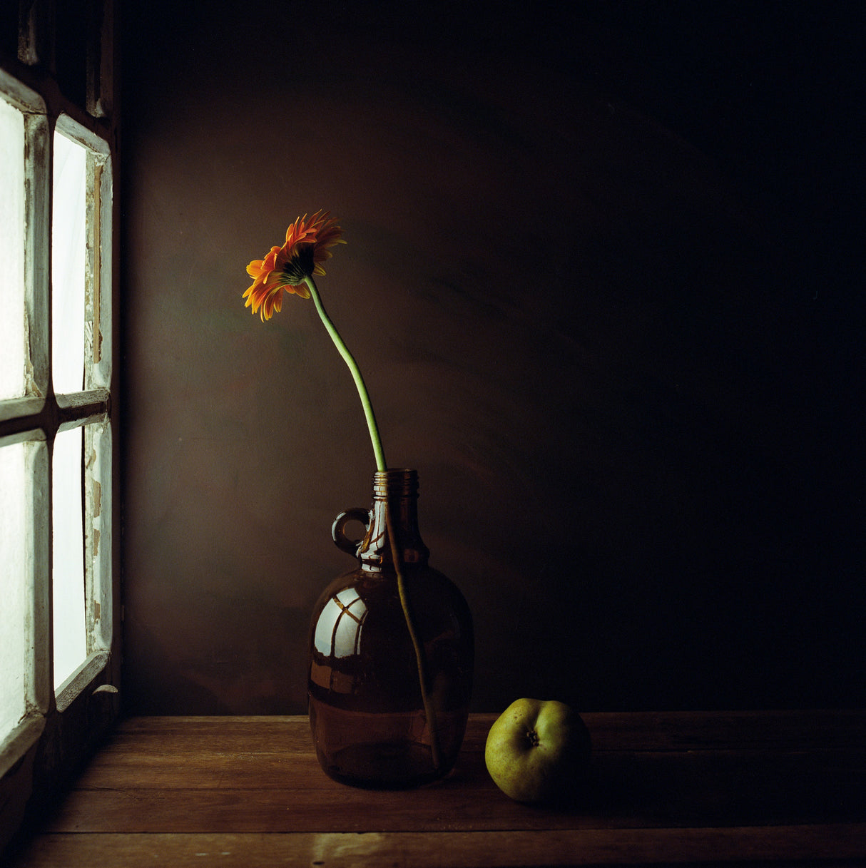 The Pear Poster och Canvastavla