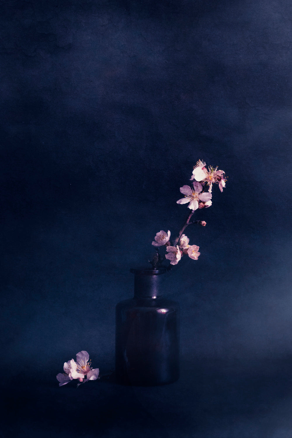 Spring Days Poster och Canvastavla