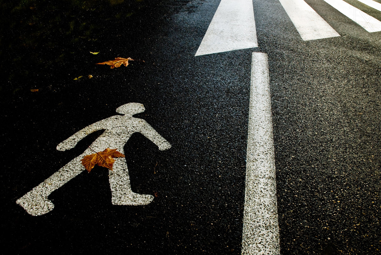Autumn on the road Poster och Canvastavla