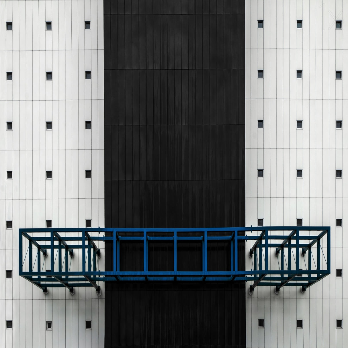 SyMMetriCa Poster och Canvastavla