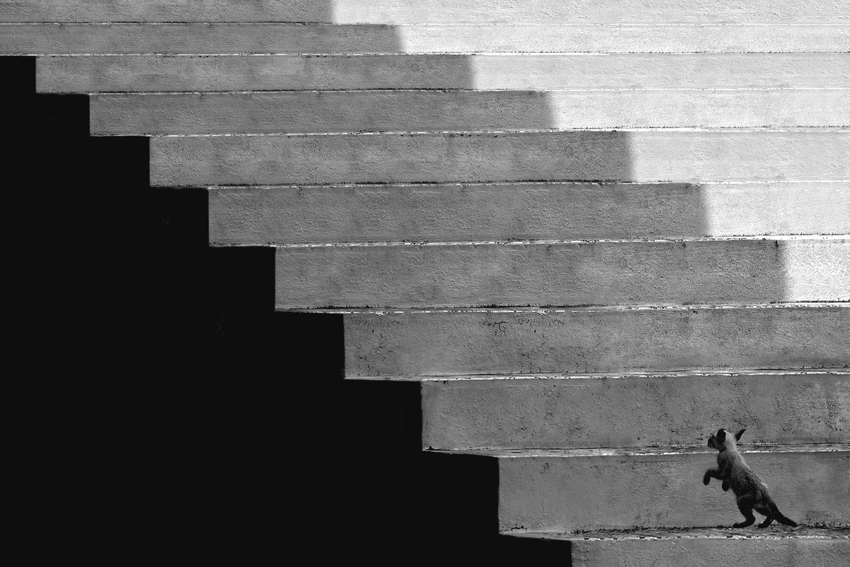 Hard step for beginning Poster och Canvastavla