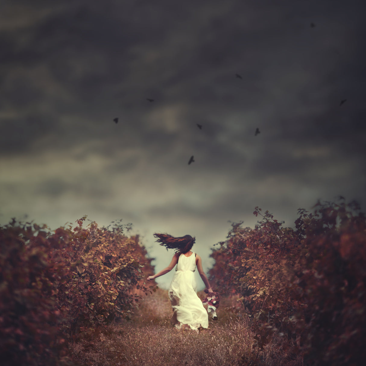 My Escape: A Girl's Escape Into Her Dark Dreamworld Poster och Canvastavla