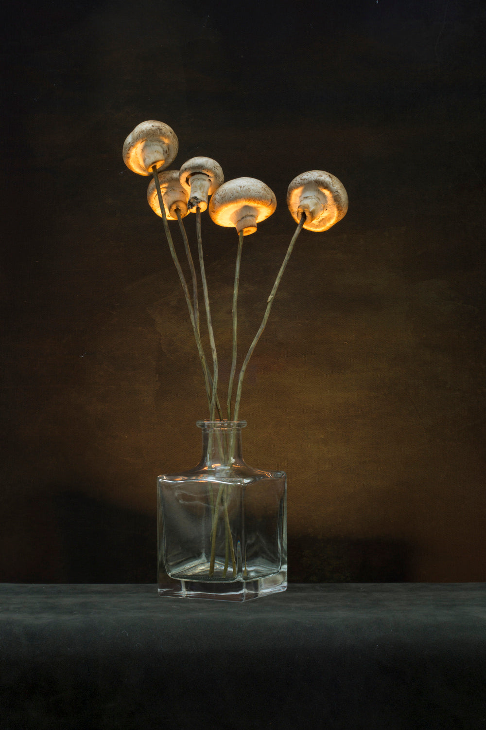 Bouquet of mushrooms Poster och Canvastavla