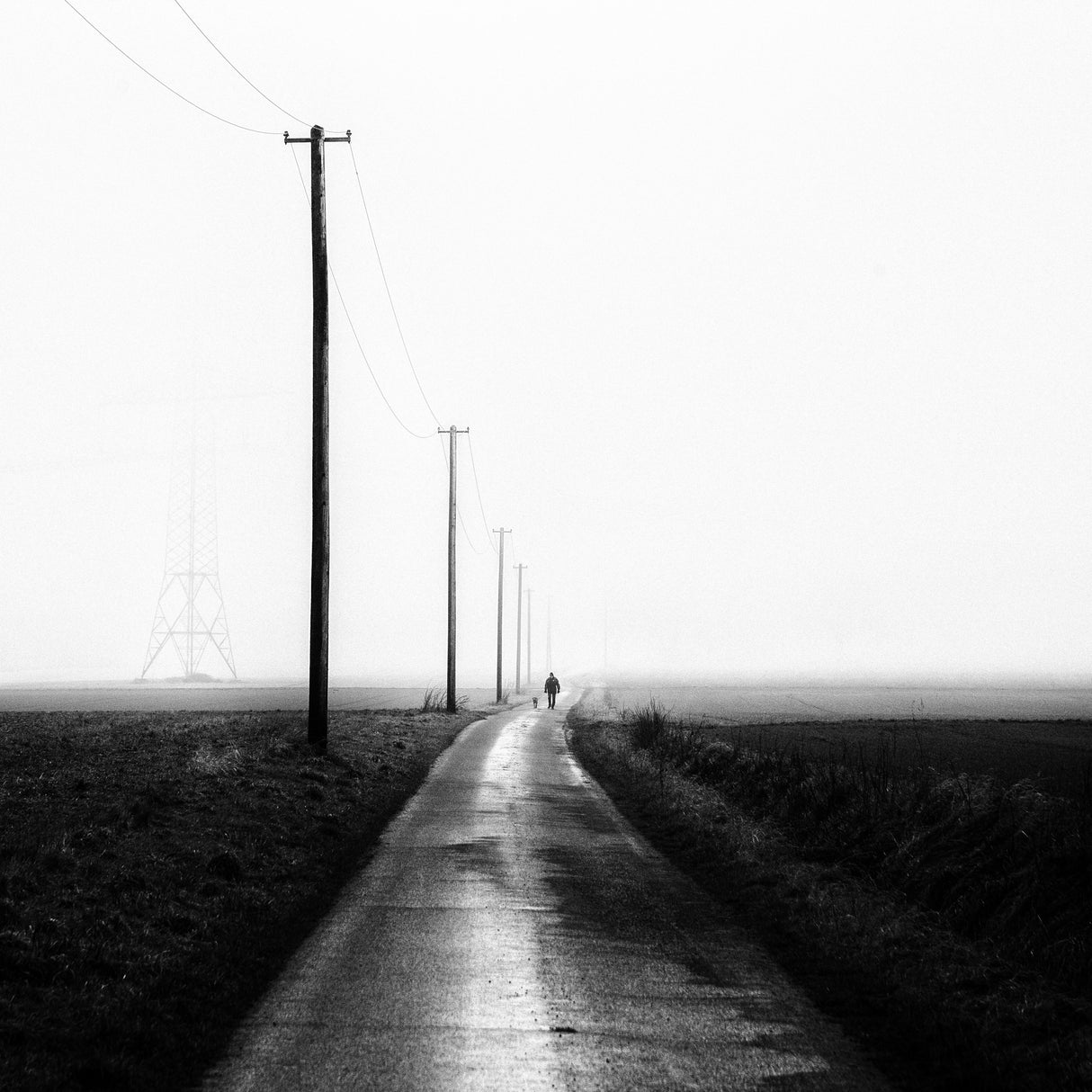Misty Morning V Poster och Canvastavla