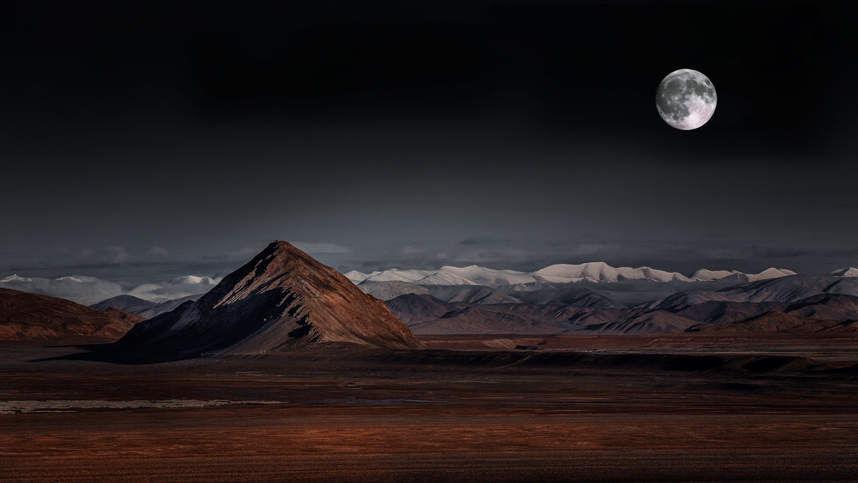 moon night Poster och Canvastavla