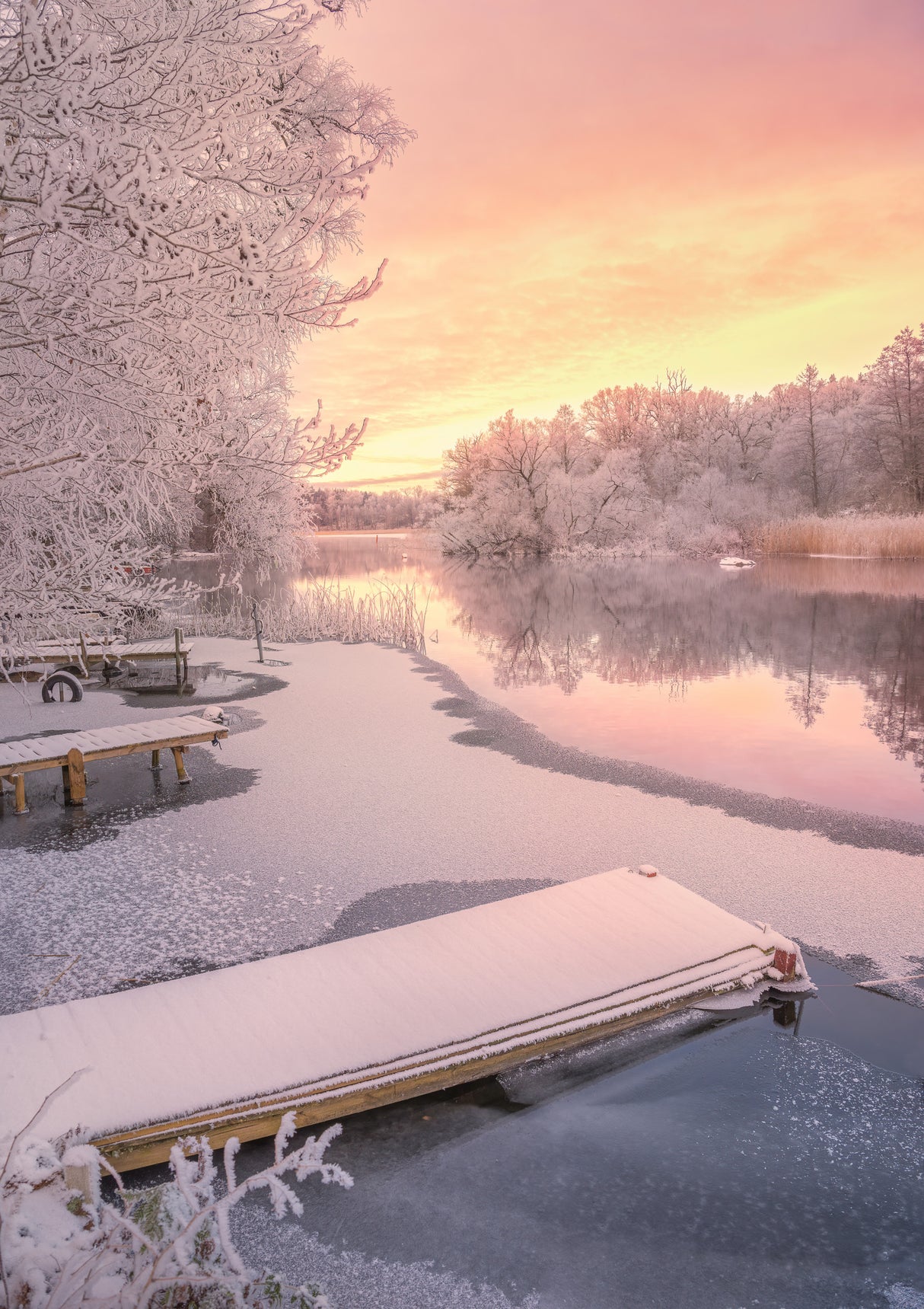Frozen jetty and pink sunset Poster och Canvastavla