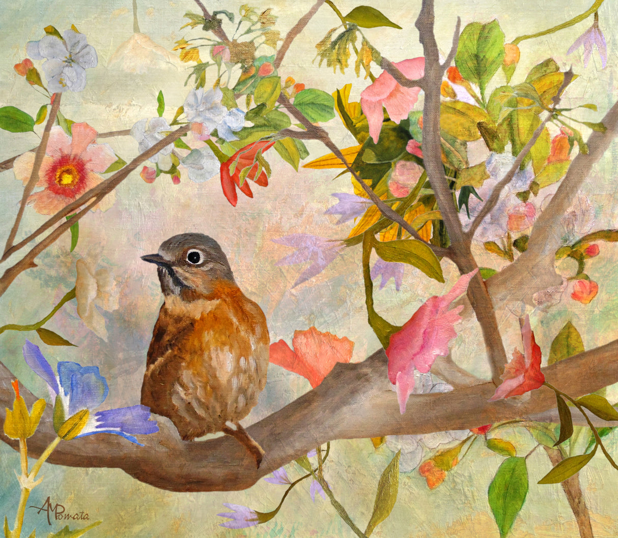 Bluebird On a Blossoming Branch Poster och Canvastavla