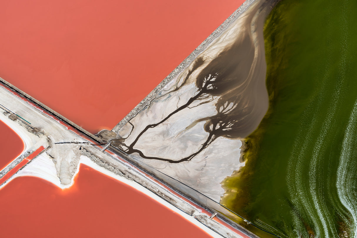 Nature's painting Poster och Canvastavla