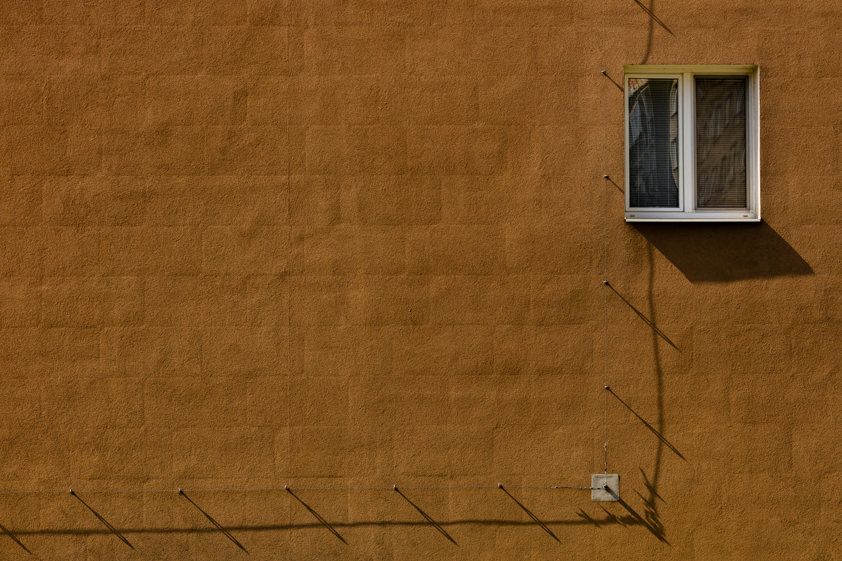 The wall Poster och Canvastavla