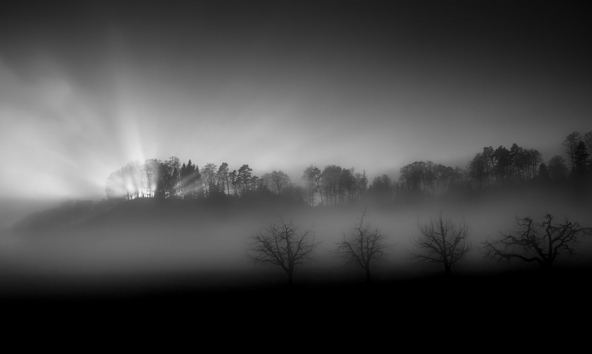 Belpberg - Sunny and foggy Poster och Canvastavla