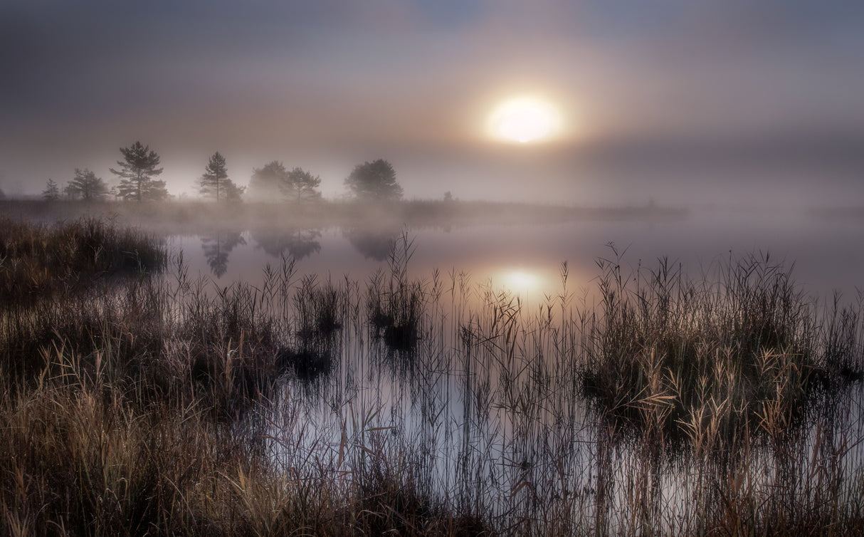 Autumn At the lake Poster och Canvastavla