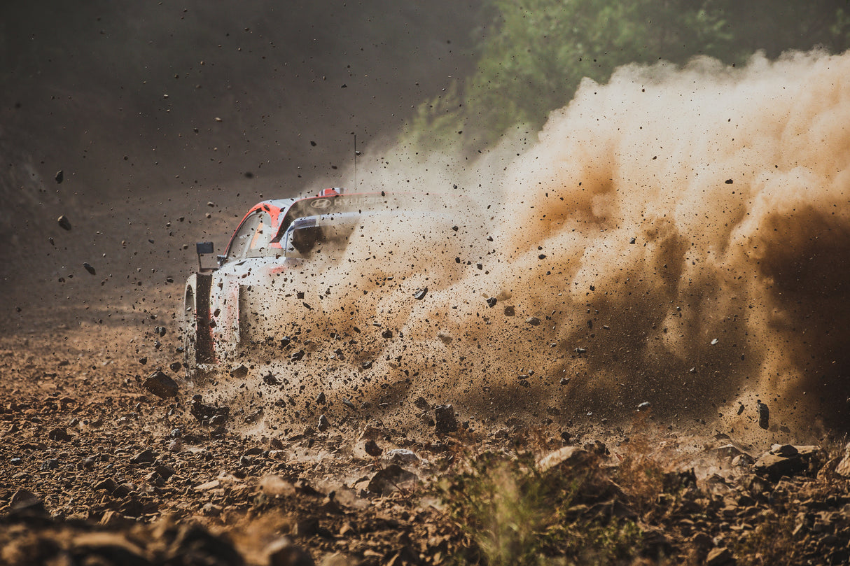Eat my dust Poster och Canvastavla